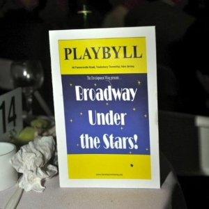 28. PLAYBILL for the evening's performance (2)